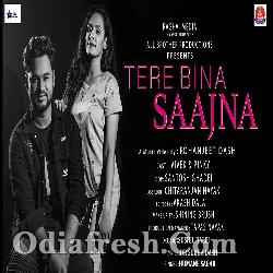 TERE BINA SAJANA - Romantic Song By Humane Sagar